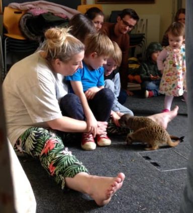 Hands-on learning with meerkats